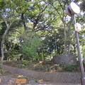 Photos: 世田谷城（世田谷区立 世田谷城阯公園）