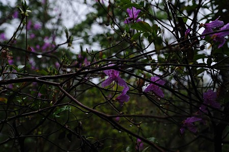 1104271546_DSC_0269