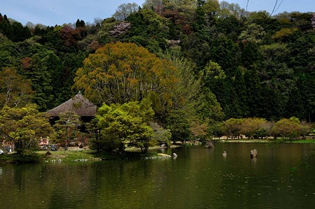 1005031058_DSC_3193