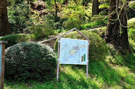 1005031243_DSC_3200