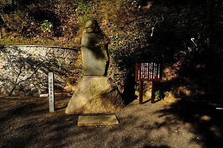 1005031615_DSC_3890