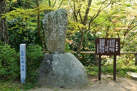 1005031629_DSC_3949