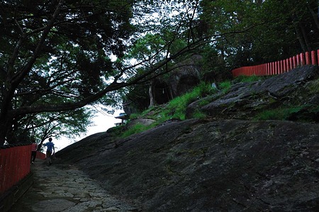 1009191619_DSC_2203