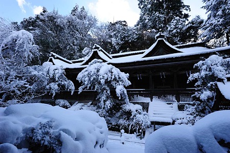 1101011430_DSC_6553