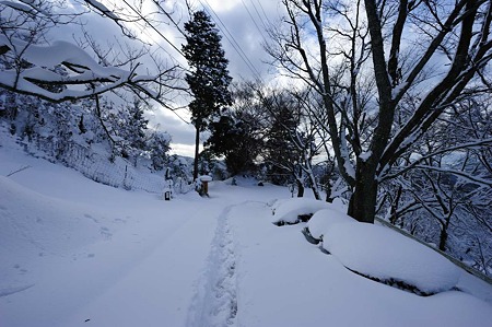 1101011441_DSC_6604
