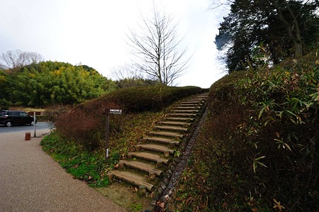 1101020911_DSC_6854