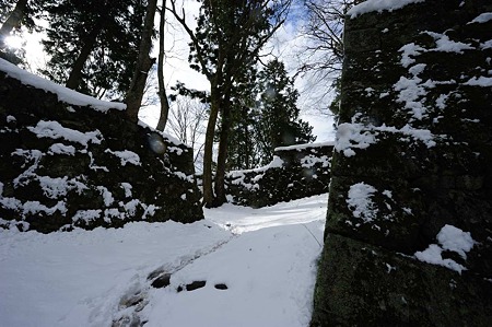 1101021244_DSC_7250