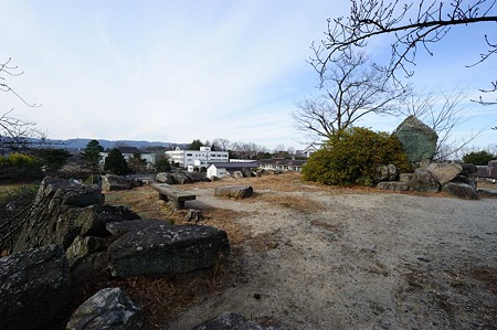 1101031231_DSC_7956