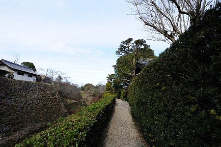1101031235_DSC_7980