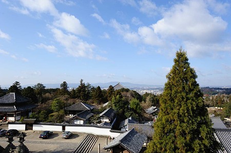 1101041020_DSC_8528