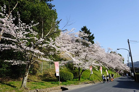 1104121634_DSC_9406