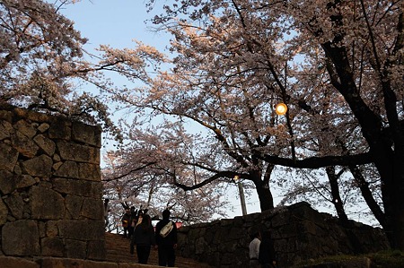 1104121803_DSC_5042