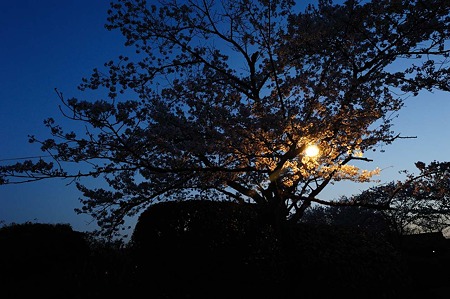 1104121844_DSC_9563