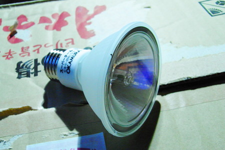 RIMG0066