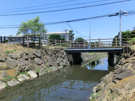 CIMG0095