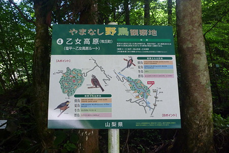 P1020082