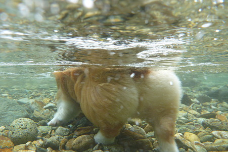 P1020242