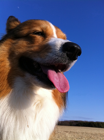 写真 5