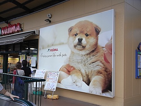 ペットの専門店 コジマ