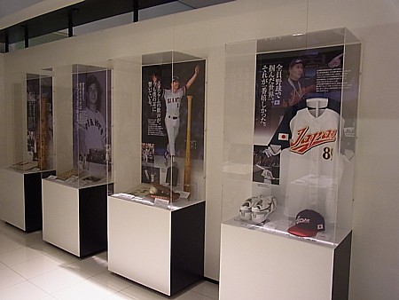 展示コーナー