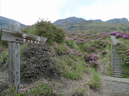 仙酔峡(7)