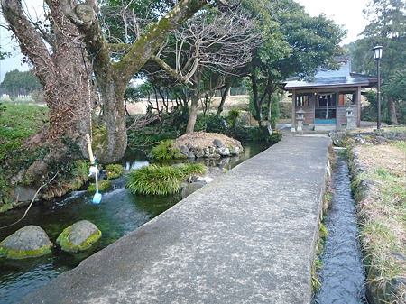 池の川水源(2)