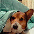 Photos: 2011020120450000