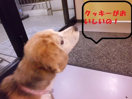 CIMG0238