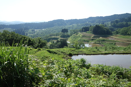DSC01407