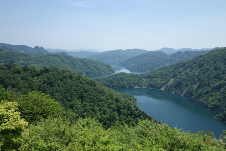 DSC01421