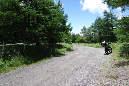 DSC01853