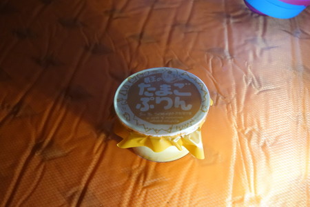 DSC02250