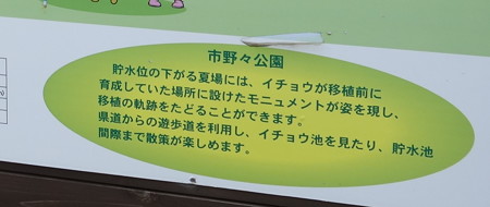 DSC02312 (1)