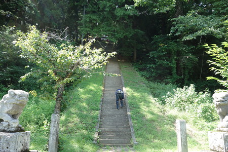 DSC02951