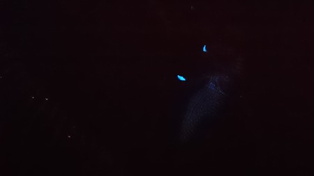 DSC_1097