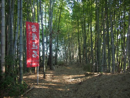 iwayayama_onomitisannzan03