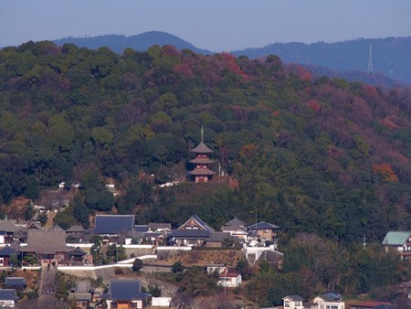 iwayayama_onomitisannzan27