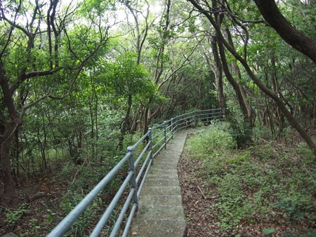 susakikaigan_ehime06