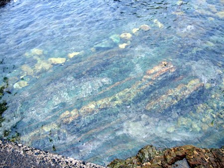 susakikaigan_ehime36
