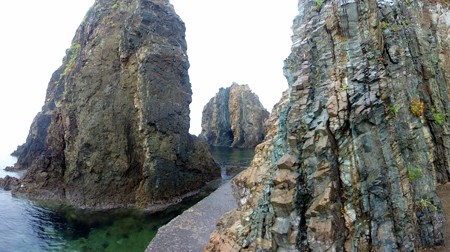 susakikaigan_ehime_p11