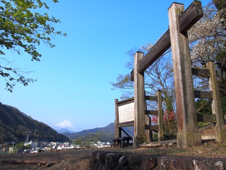 iwadonosan11