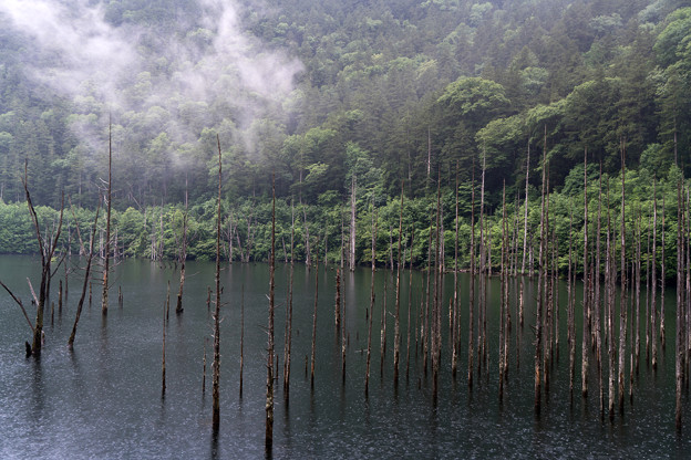 Photos: 雨の自然湖