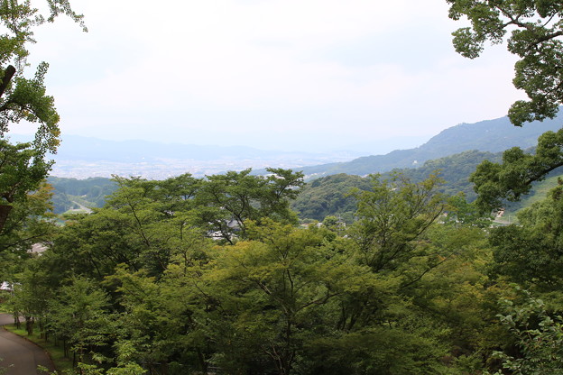 竈門神社からの景色