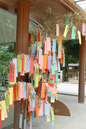 竈門神社の七夕飾り(1)