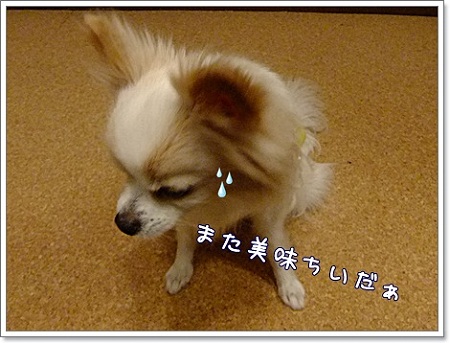 だ美味ちい