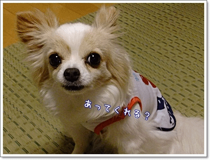 お願い