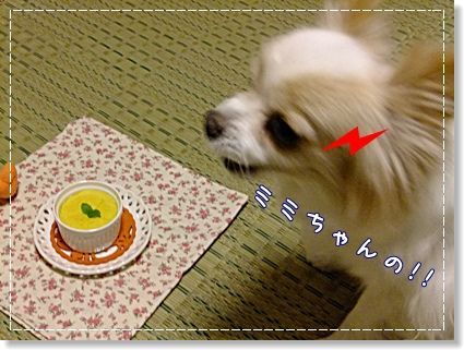 カボチャプリン