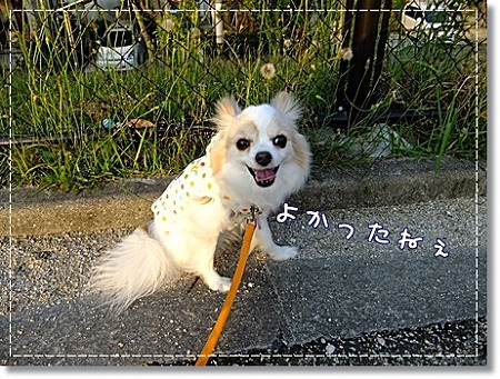 晴れた~
