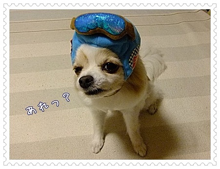 あれ