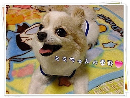 季節